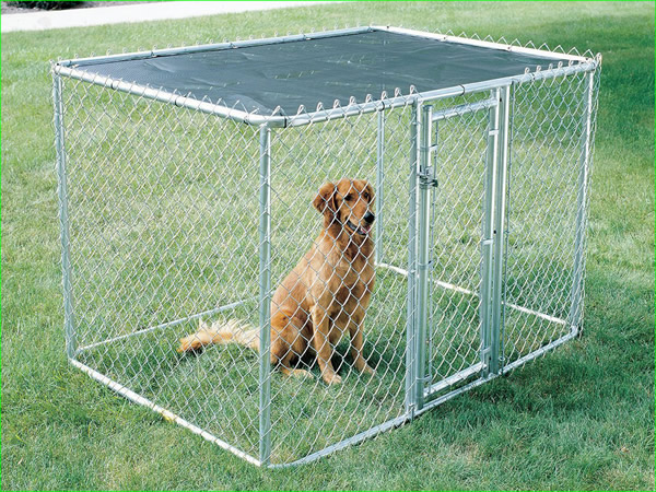 chain link dog kennel